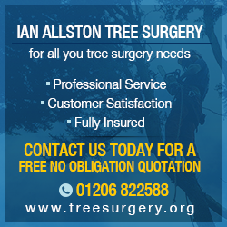 Colchester Tree Surgery